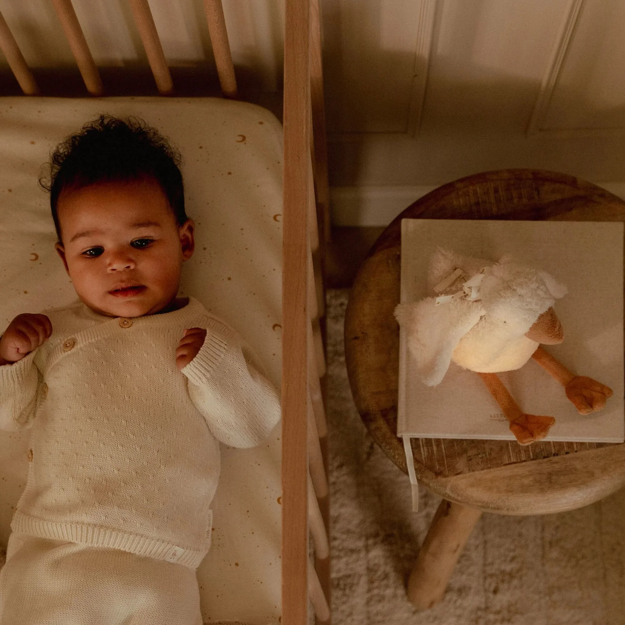peluche-ganso-com-luz-e-som-little-dutch