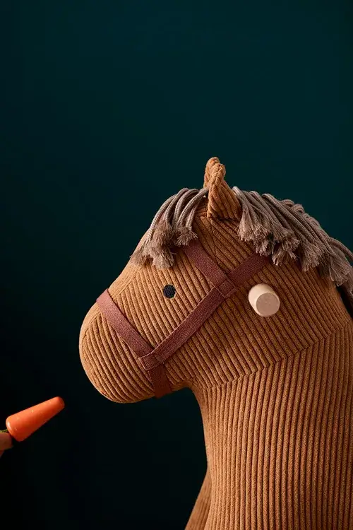kids-concept-cavalo-baloico-vera-