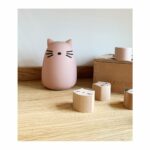 Winston_Night_Light-Lighting-LW12724-0022_Cat_rose
