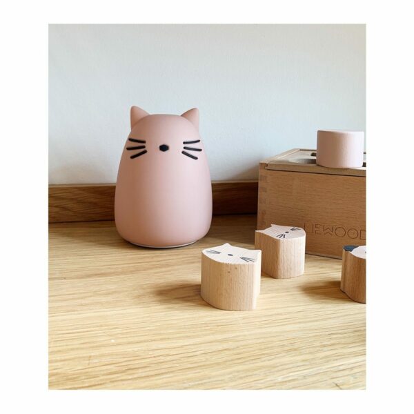 Winston_Night_Light-Lighting-LW12724-0022_Cat_rose