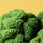 A2BROC_1__17033