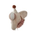 Elephant-circus-light-beige-with-a-floral-cap-Love-me-Decoration