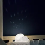 flow-amerterdam-projector-bjorn-