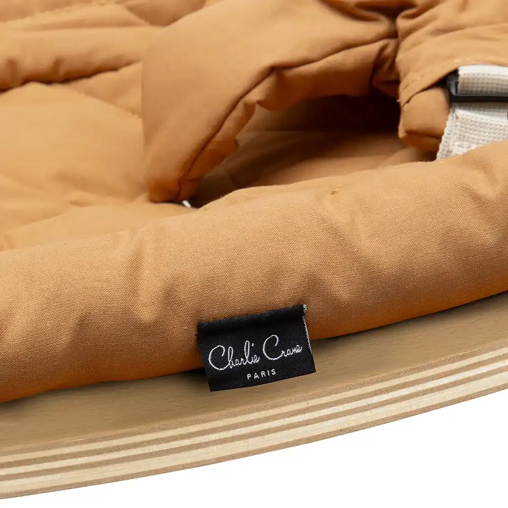 LEVO_CAMEL_Detail2-2