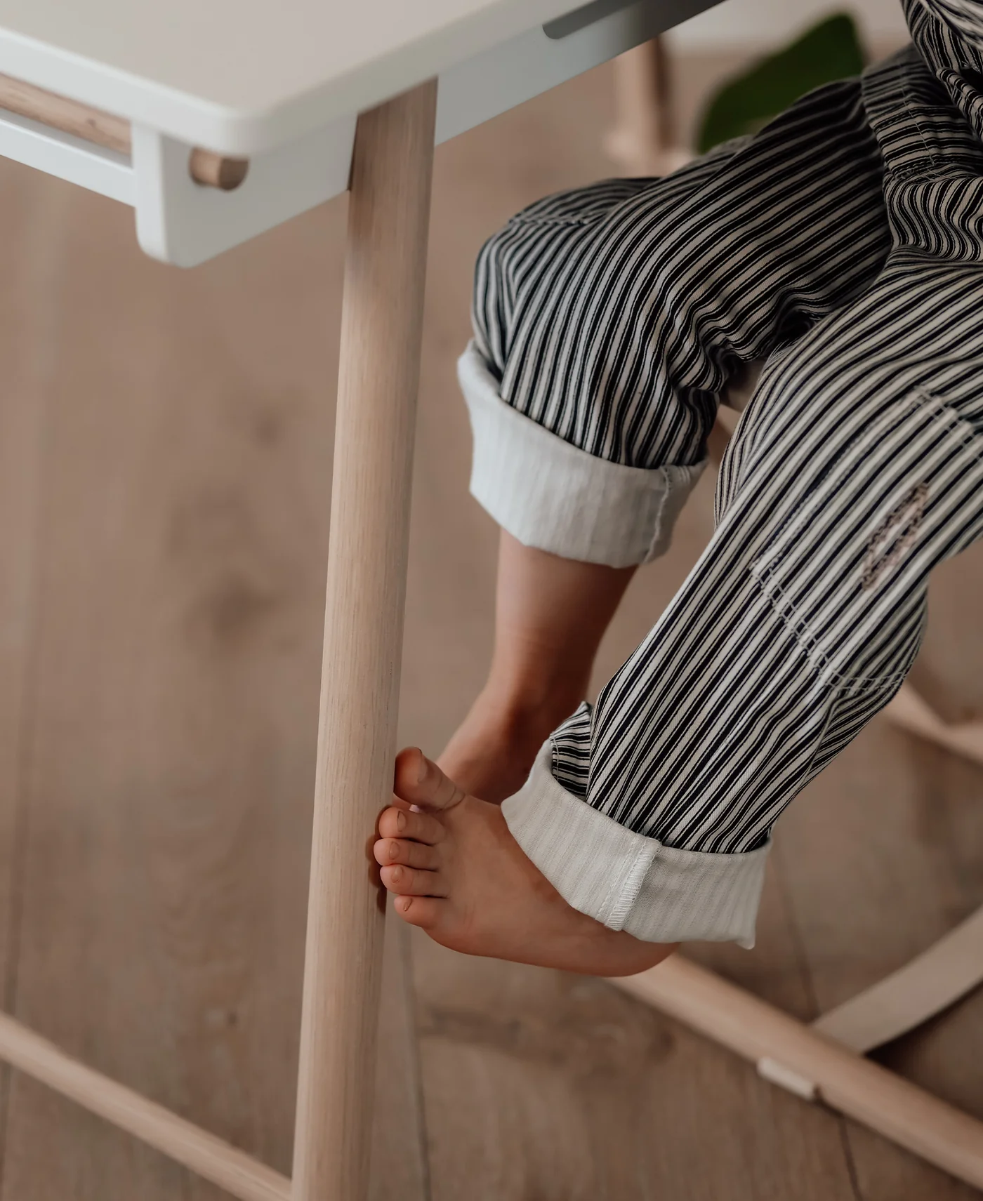 OF_CampCollection_061602_01.png