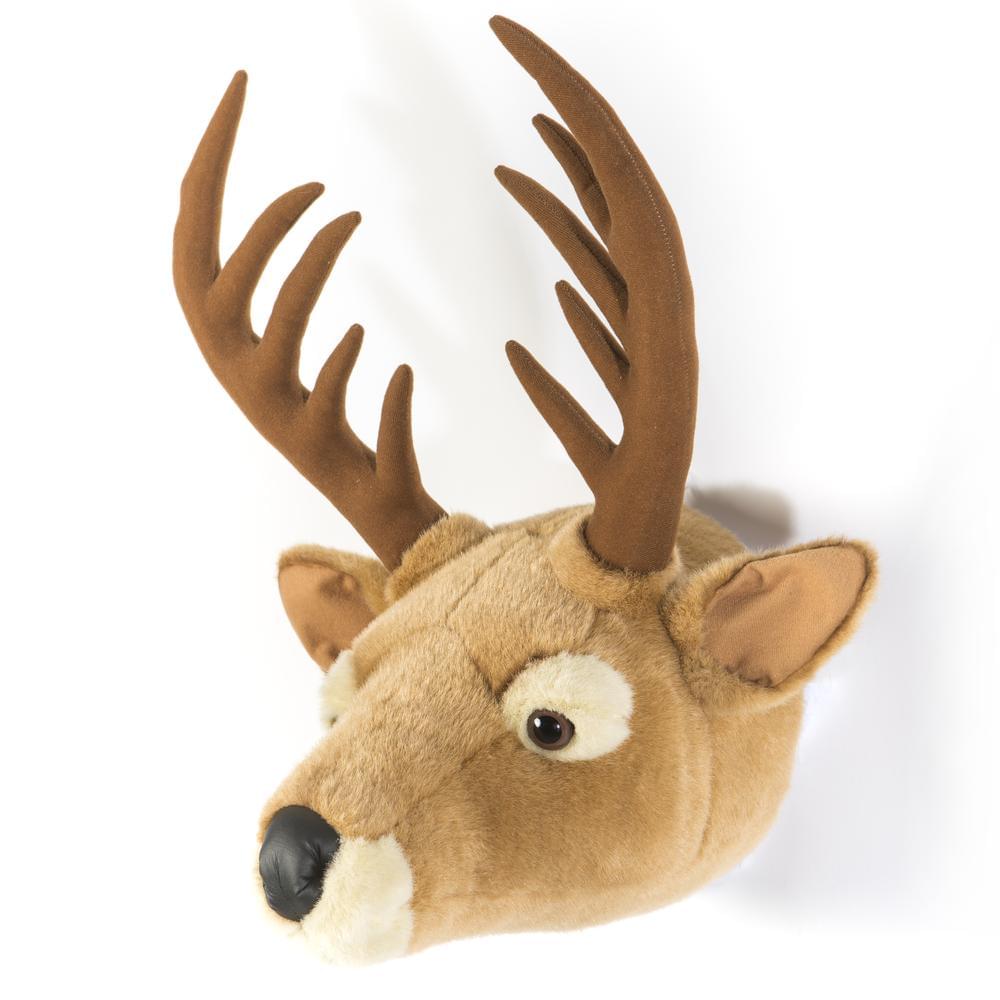 wild-soft-billy-
