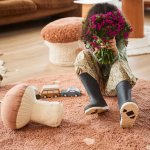 cushion-boletus-lorena-canals-3