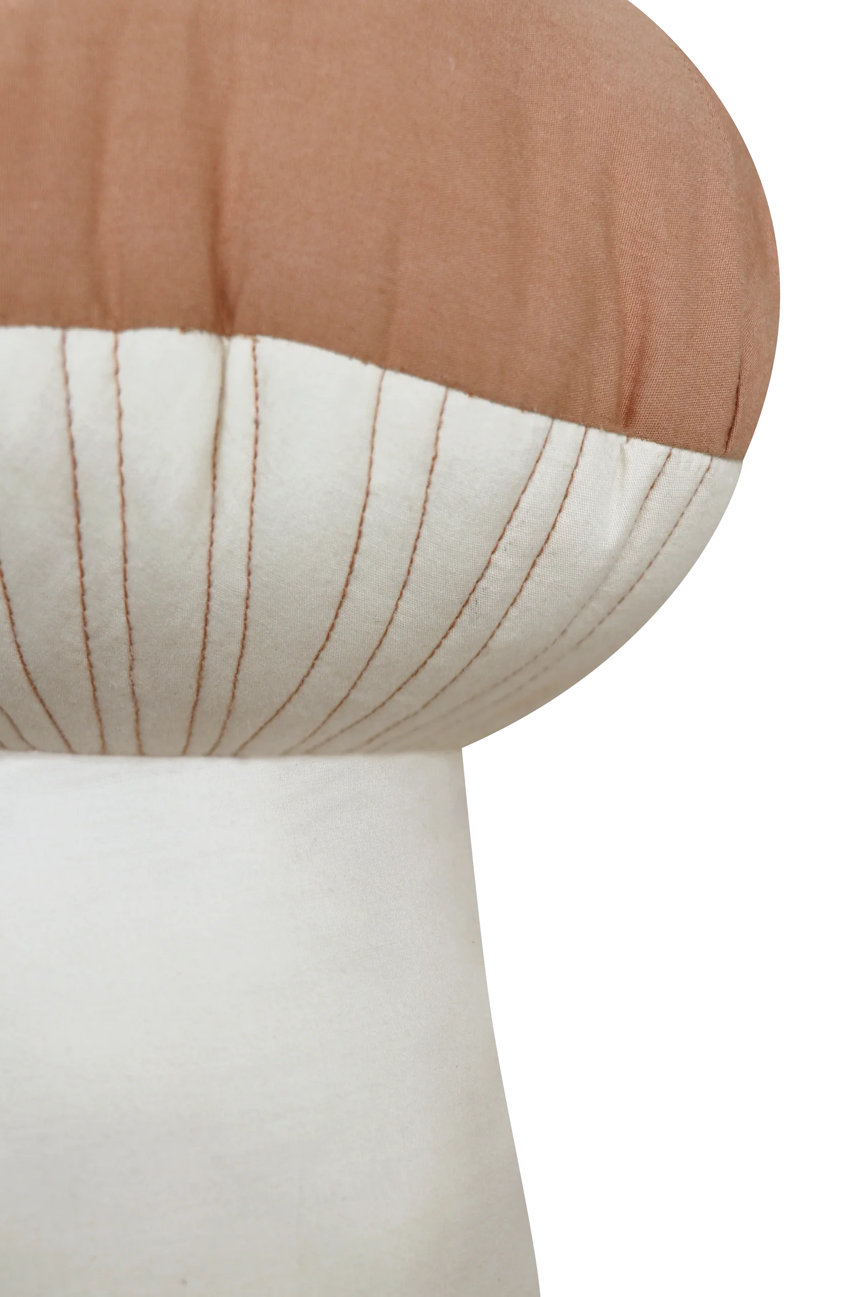 cushion-boletus-lorena-canals-4.png