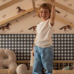 eng_pl_Dream-nest-pine-house-bed-80x160-along-with-two-safety-rails-and-a-drawer-1090_25