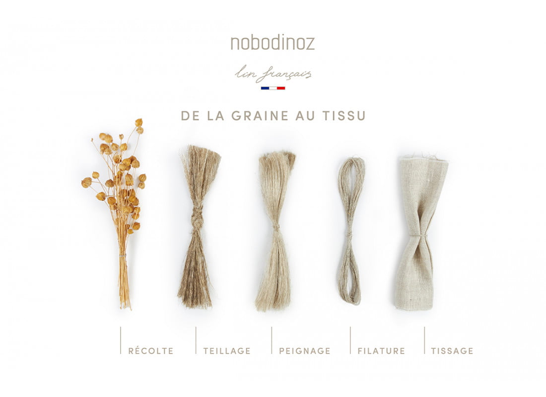 lin-fran_ais-kit-nobodinoz_18