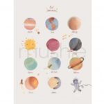 mushie-poster A3-espaço